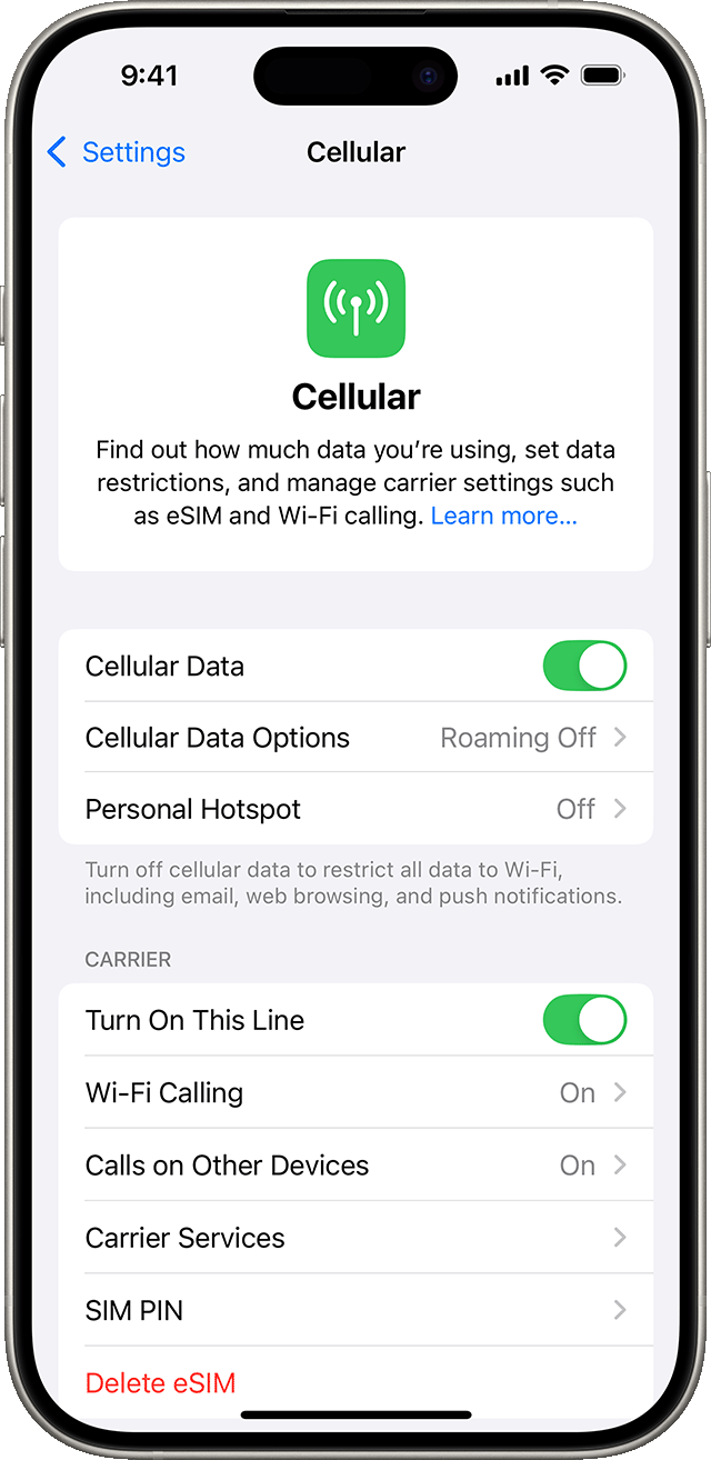 ios 18 셀룰러 설정화면