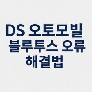 DS 오토모빌 블루투스 오류 대지