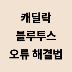 캐딜락 블루투스 오류