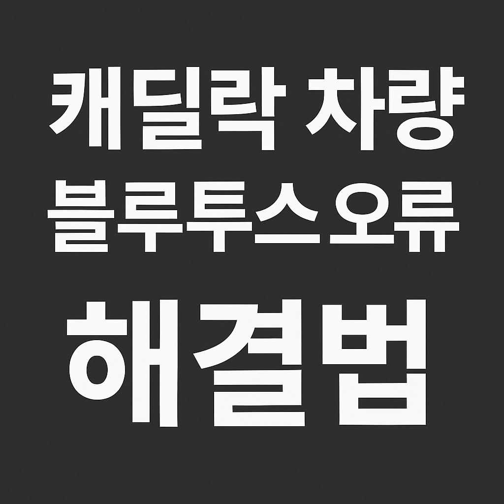 캐딜락 블루투스 오류 대표이미지