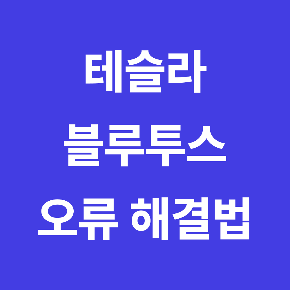 테슬라 블루투스 오류 대표이미지