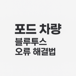 포드 블루투스 오류 대표이미지
