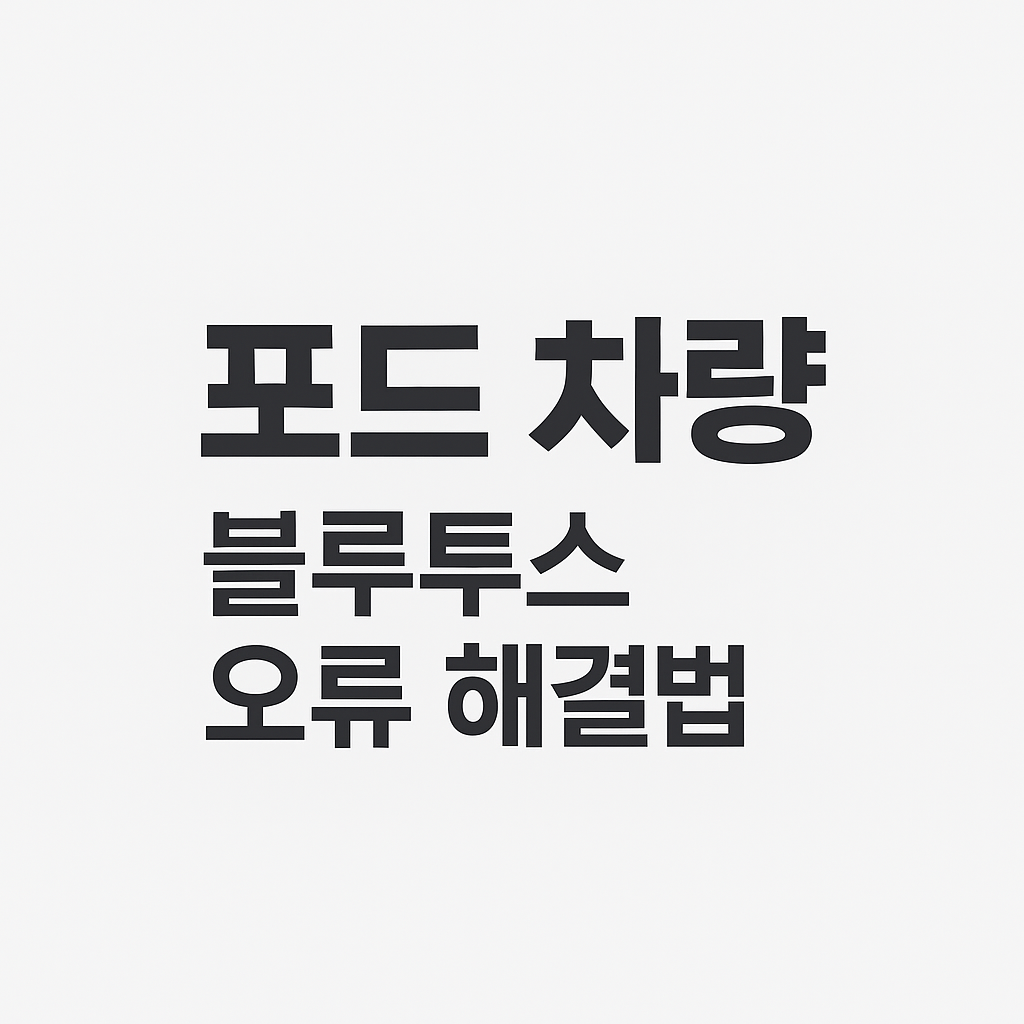포드 블루투스 오류 대표이미지