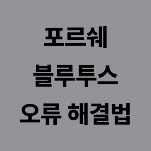 포르쉐 블루투스 오류 대표이미지